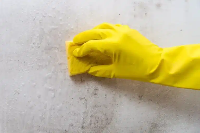 Une main gantée de jaune vif nettoie une surface tachée à l'aide d'une éponge jaune. La scène évoque la propreté et l'effort.