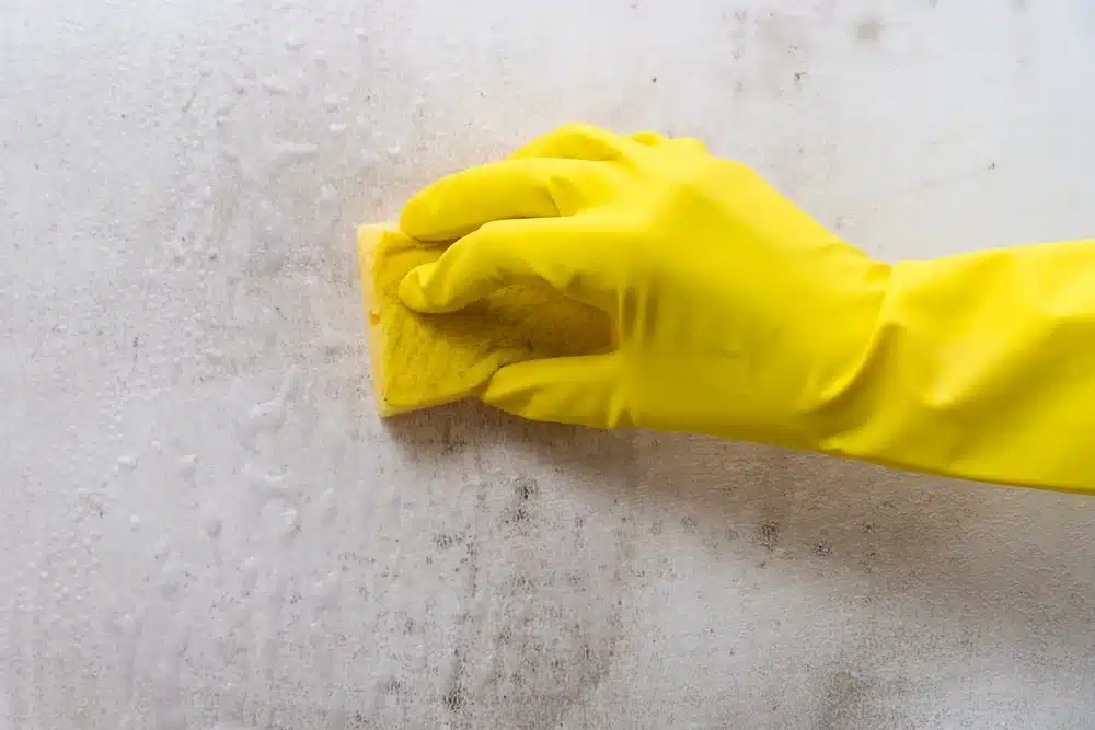 Une main gantée de jaune vif nettoie une surface tachée à l'aide d'une éponge jaune. La scène évoque la propreté et l'effort.